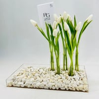 6111 - Image 2