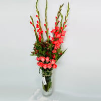 14459 - Image 3