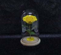 2211 - صورة 1