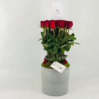 13340 - صورة 2