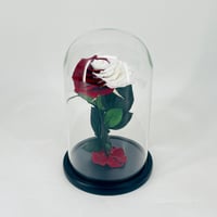 11645-689 - صورة 1
