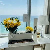15772 - صورة 1