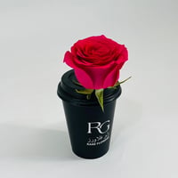 10814 - صورة 2
