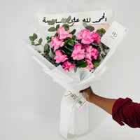 13238 - صورة 1