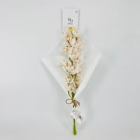 14269 - Image 1