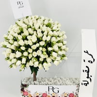 13444-823 - صورة 5