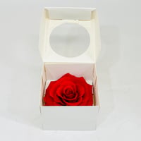 11247-501 - صورة 2