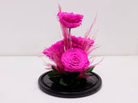3781 - صورة 2