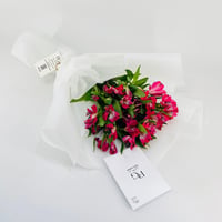 14251 - صورة 2