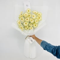 15405 - صورة 3