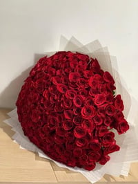 4517-03 - صورة 1