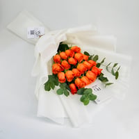10610 - صورة 1