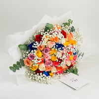 10153-502 - Image 1