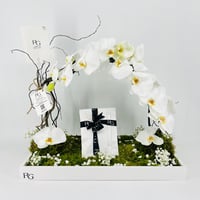 14518 - Image 7