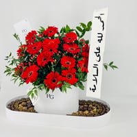 13508 - صورة 2