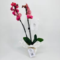 10663-625 - Image 1