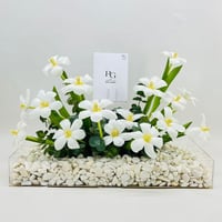 6509-127 - صورة 1