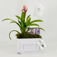 12848 - Image 2
