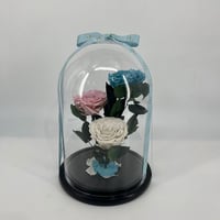 2105 - Image 1