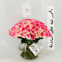 13278 - Image 2