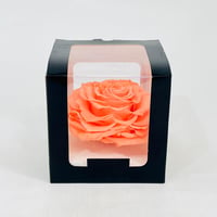 11255 - Image 2