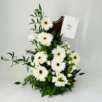 12303 - صورة 1
