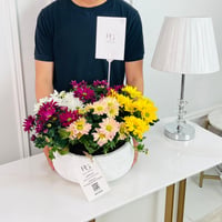 Chrysanth Mix Plant No.16731 - Image 2