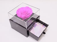 3750 - Image 1