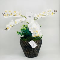 4396-568 - Image 1