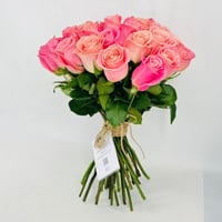 4999-385 - Image 2