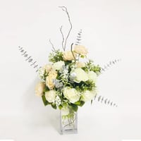 1754 - صورة 1
