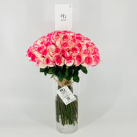 13272 - صورة 4
