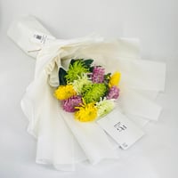12504 - Image 2