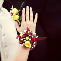 3128-173 - صورة 1