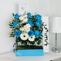 17559 - Image 1