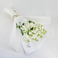 14235 - Image 2