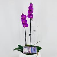 15343 - Image 3