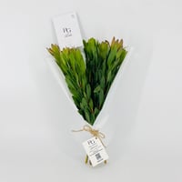 14243 - Image 1