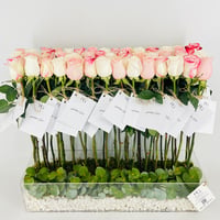 13923 - Image 4