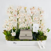 15431 - Image 3