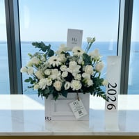 15779 - صورة 1