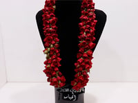 3674 - صورة 1