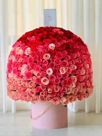 13252-797 - صورة 3