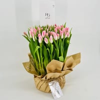 3919-102 - صورة 2