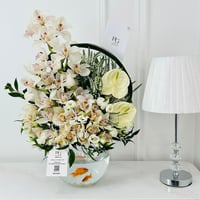 18296 - Image 2