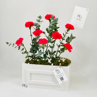 11758 - صورة 2