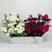 11175 - Image 1