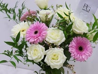 4037 - صورة 3