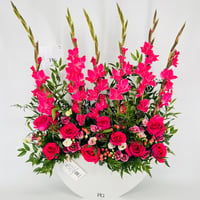 14530 - Image 6