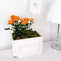 18197 - Image 1